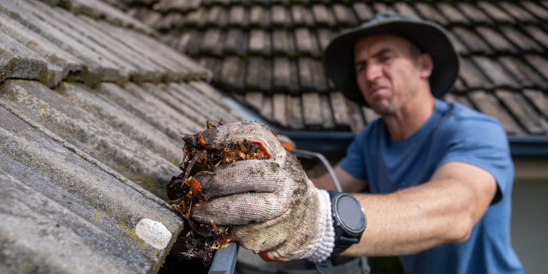 Gutter Cleaning in St. Louis, Missouri